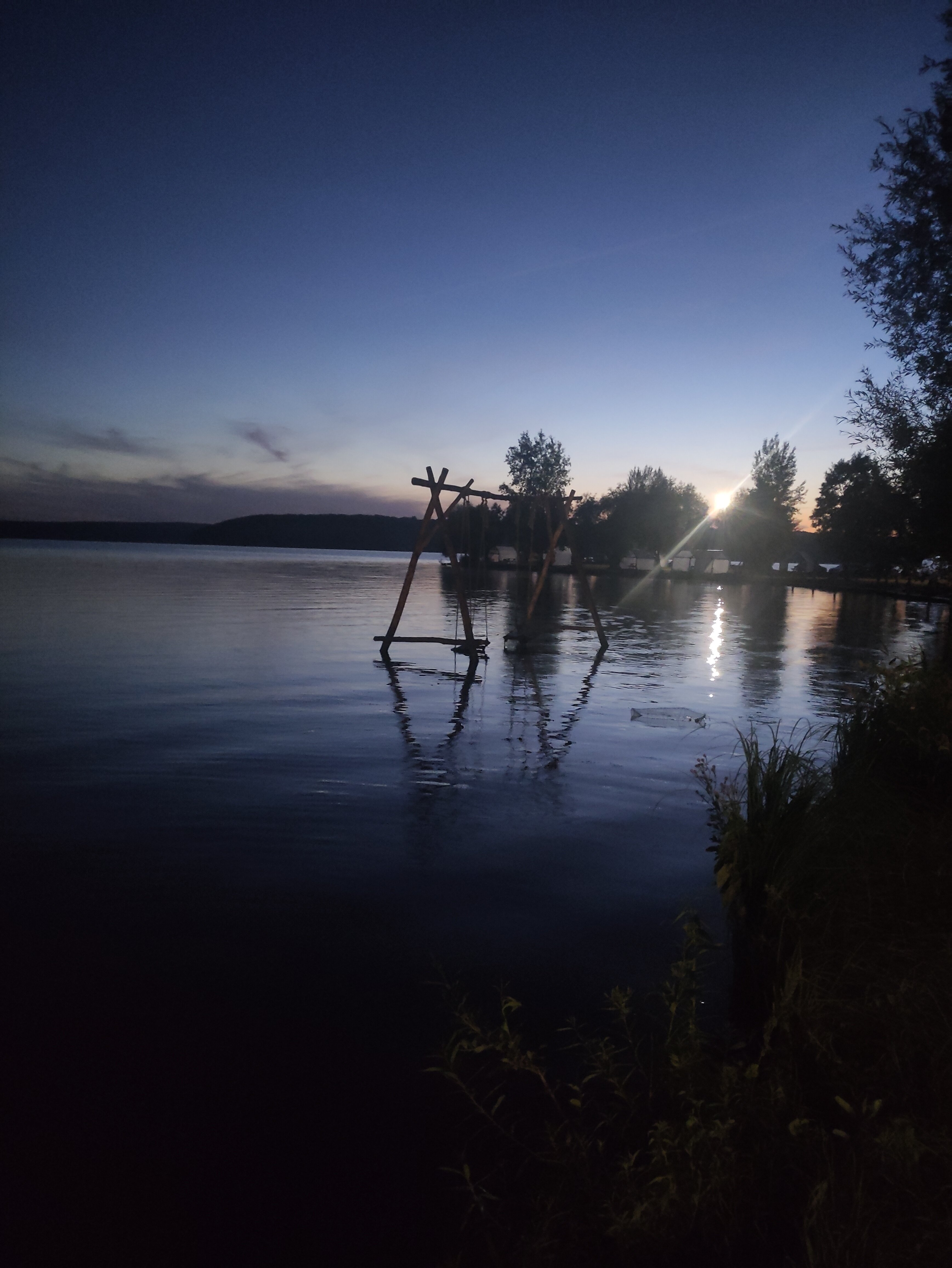 Фото Облепиха