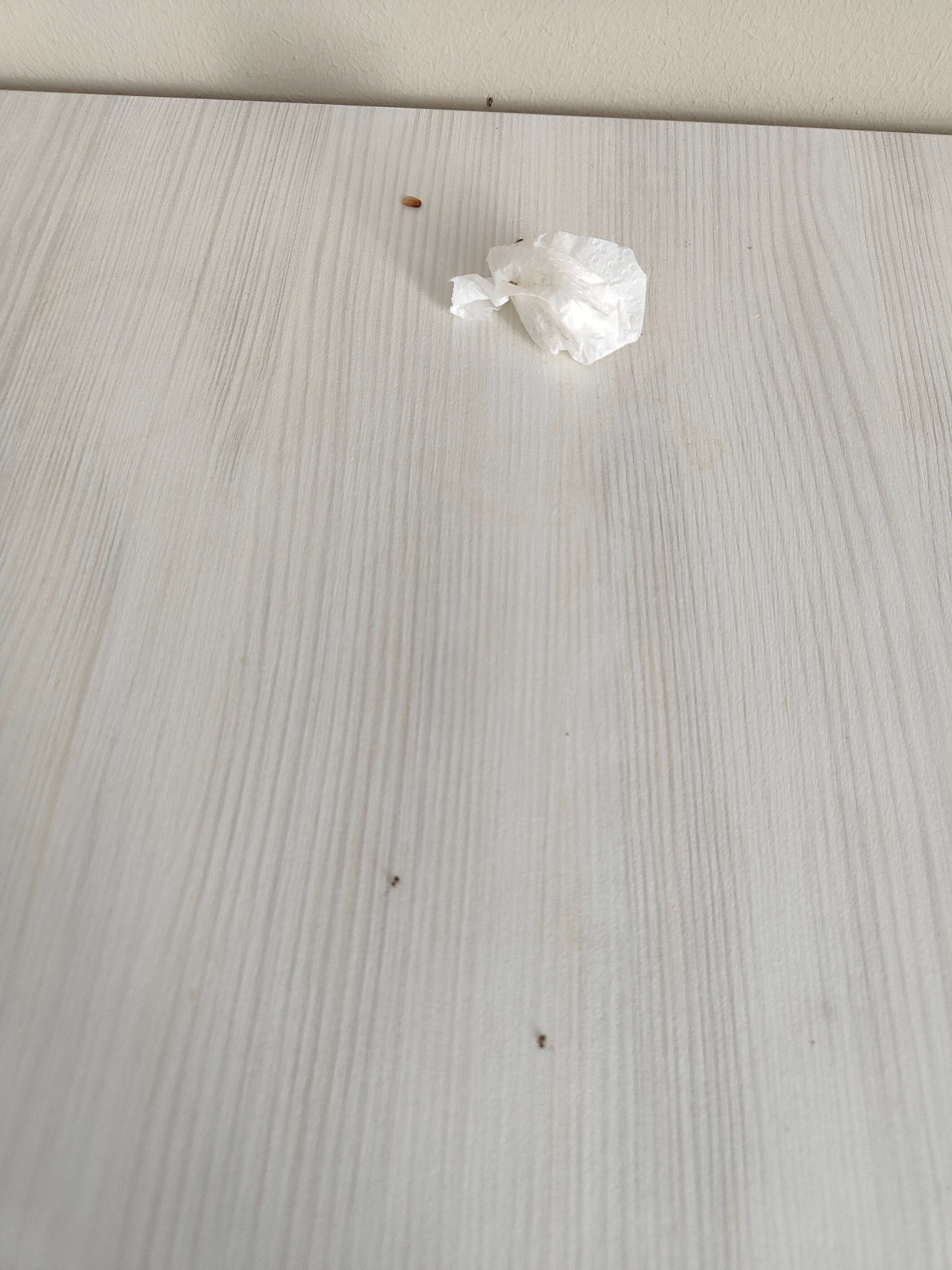 Фото Адмирал