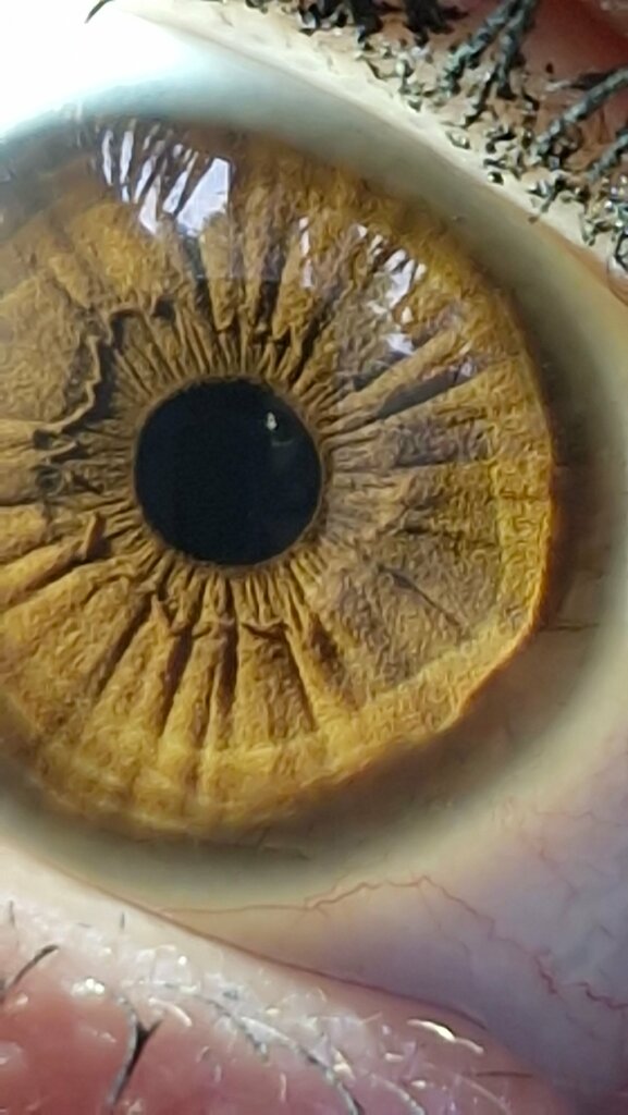 Photography Радужка фото, Tula, photo