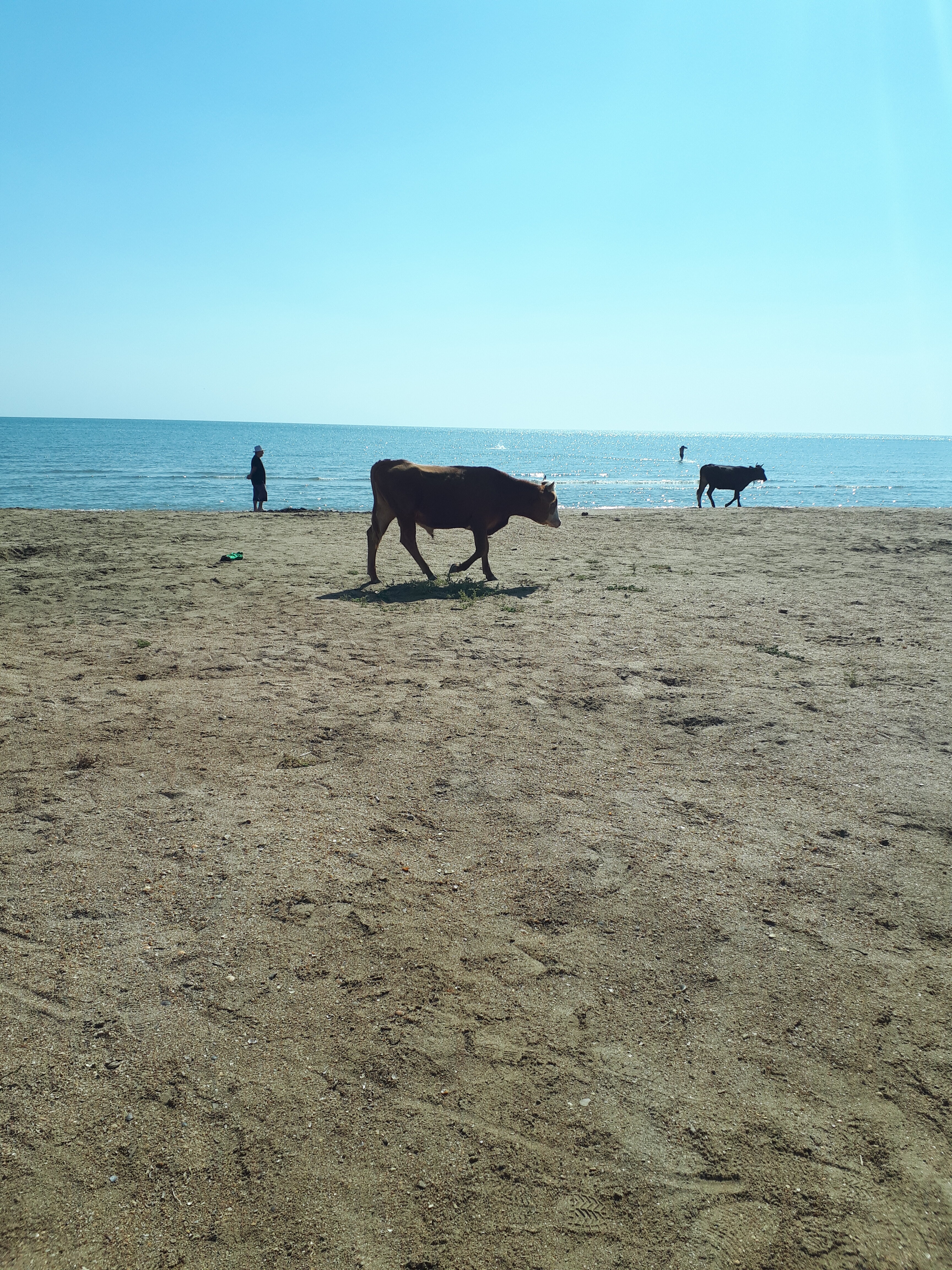 Фото На Волне