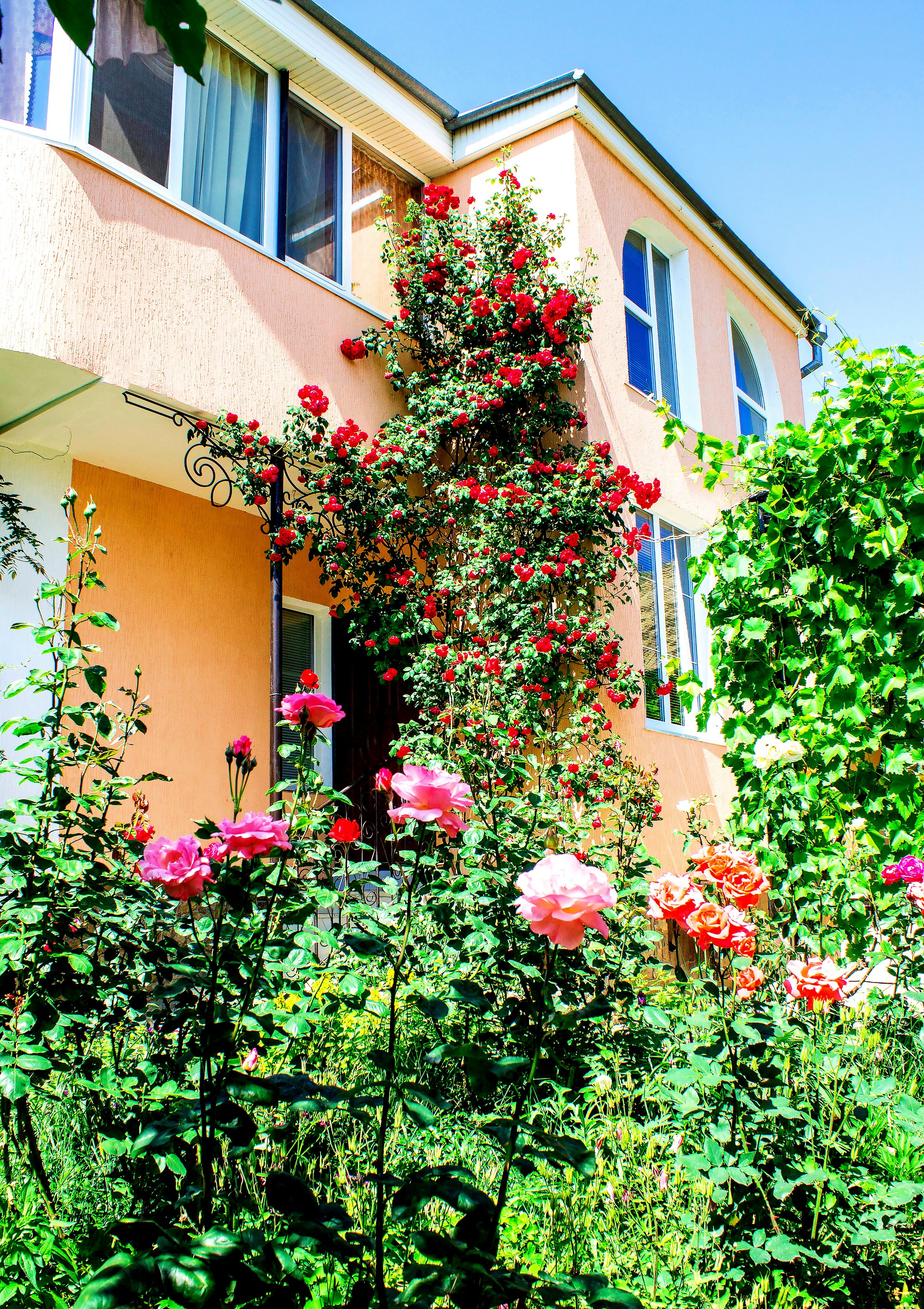 Фото Лето в Коктебеле