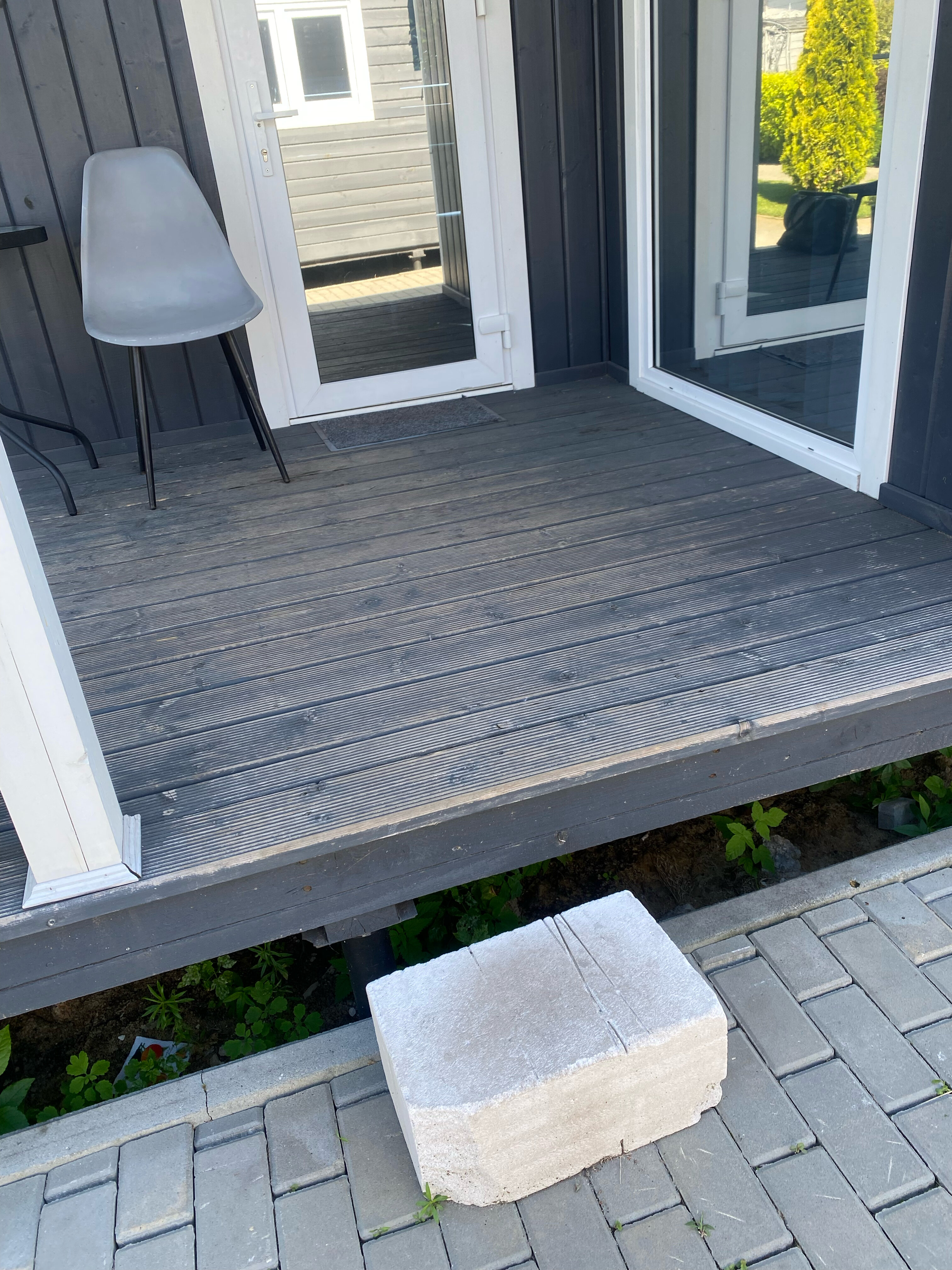 Фото Белая ворона