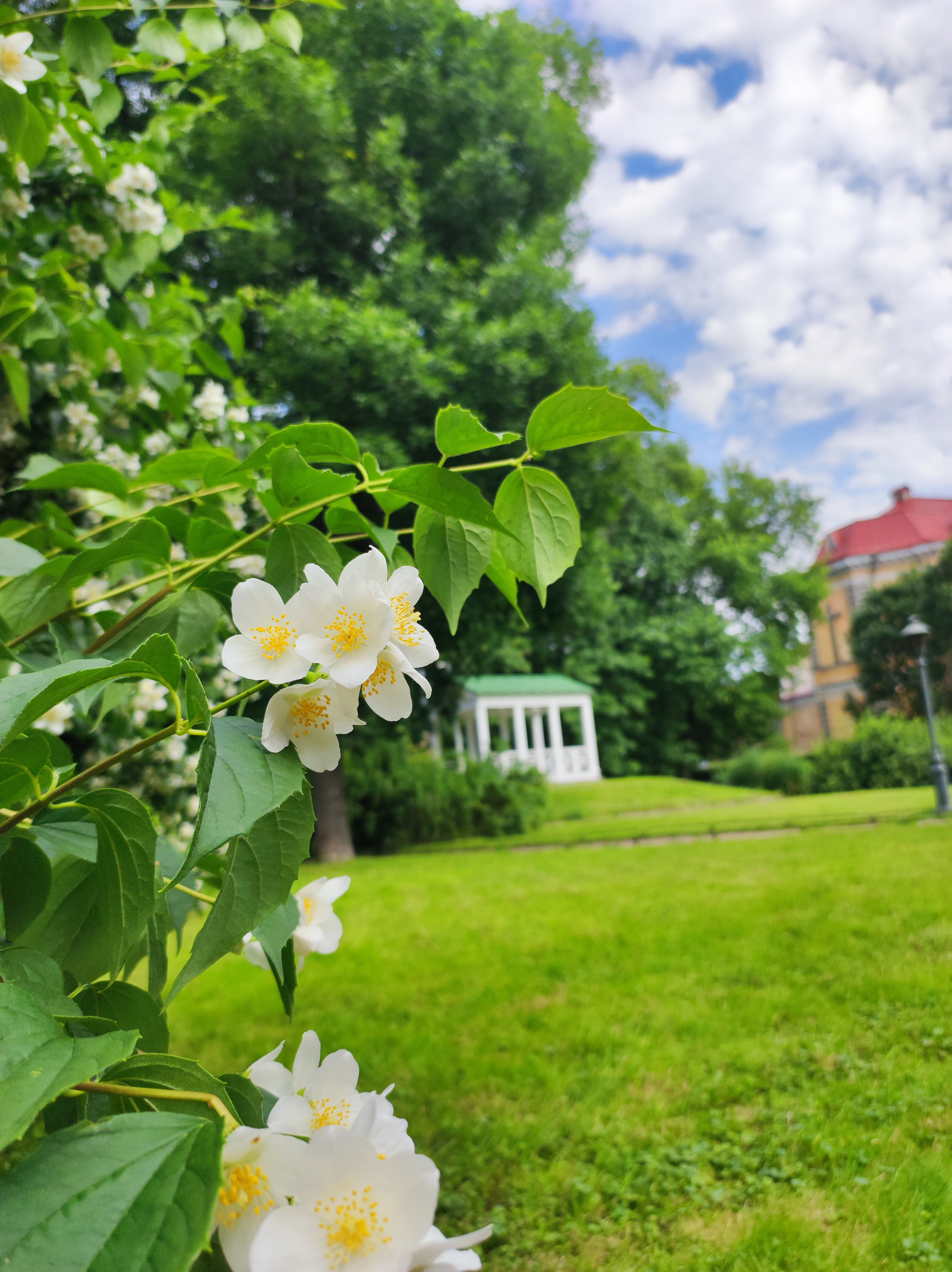 Фото Усадьба Державина
