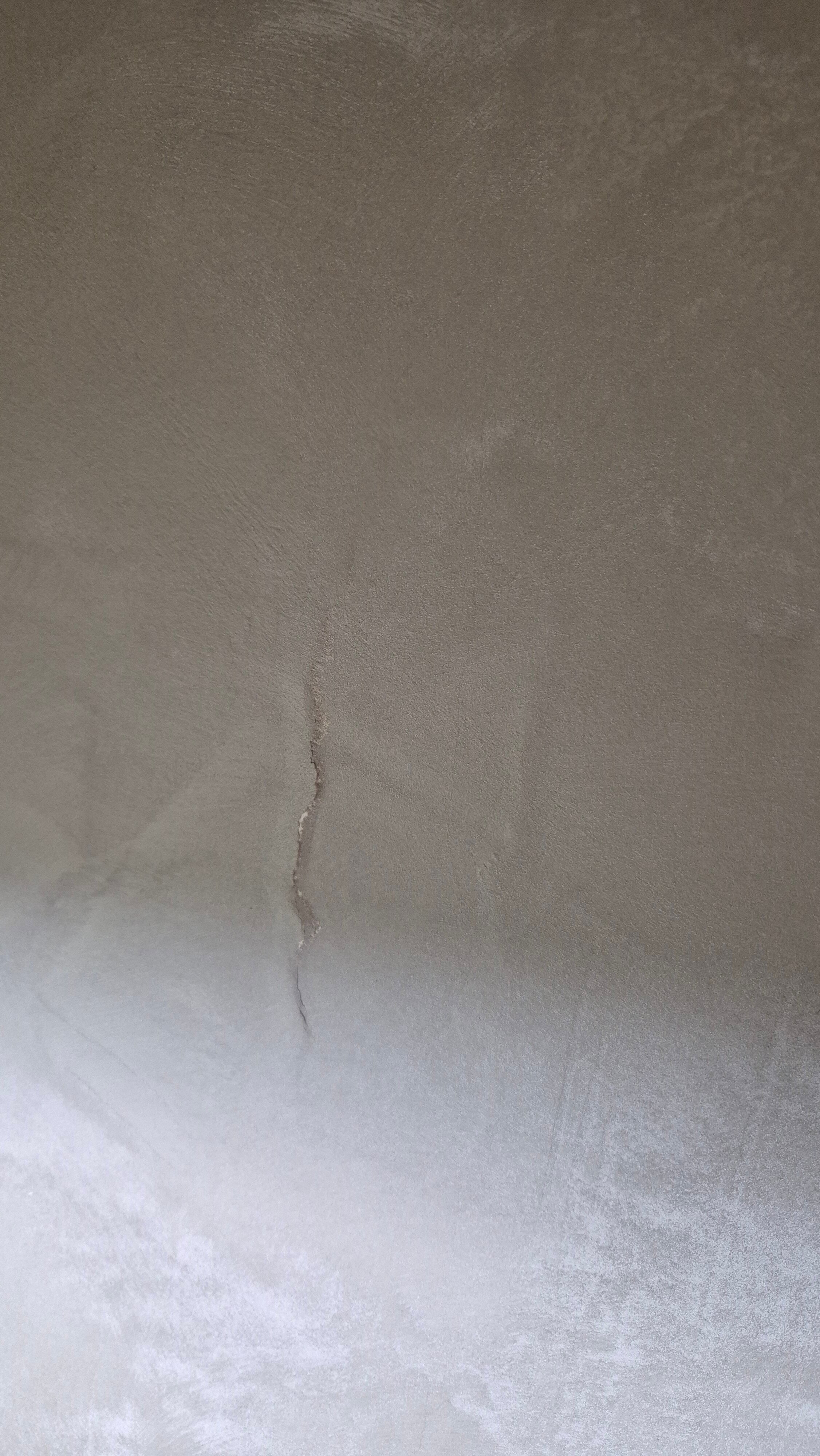 Фото Берёзка