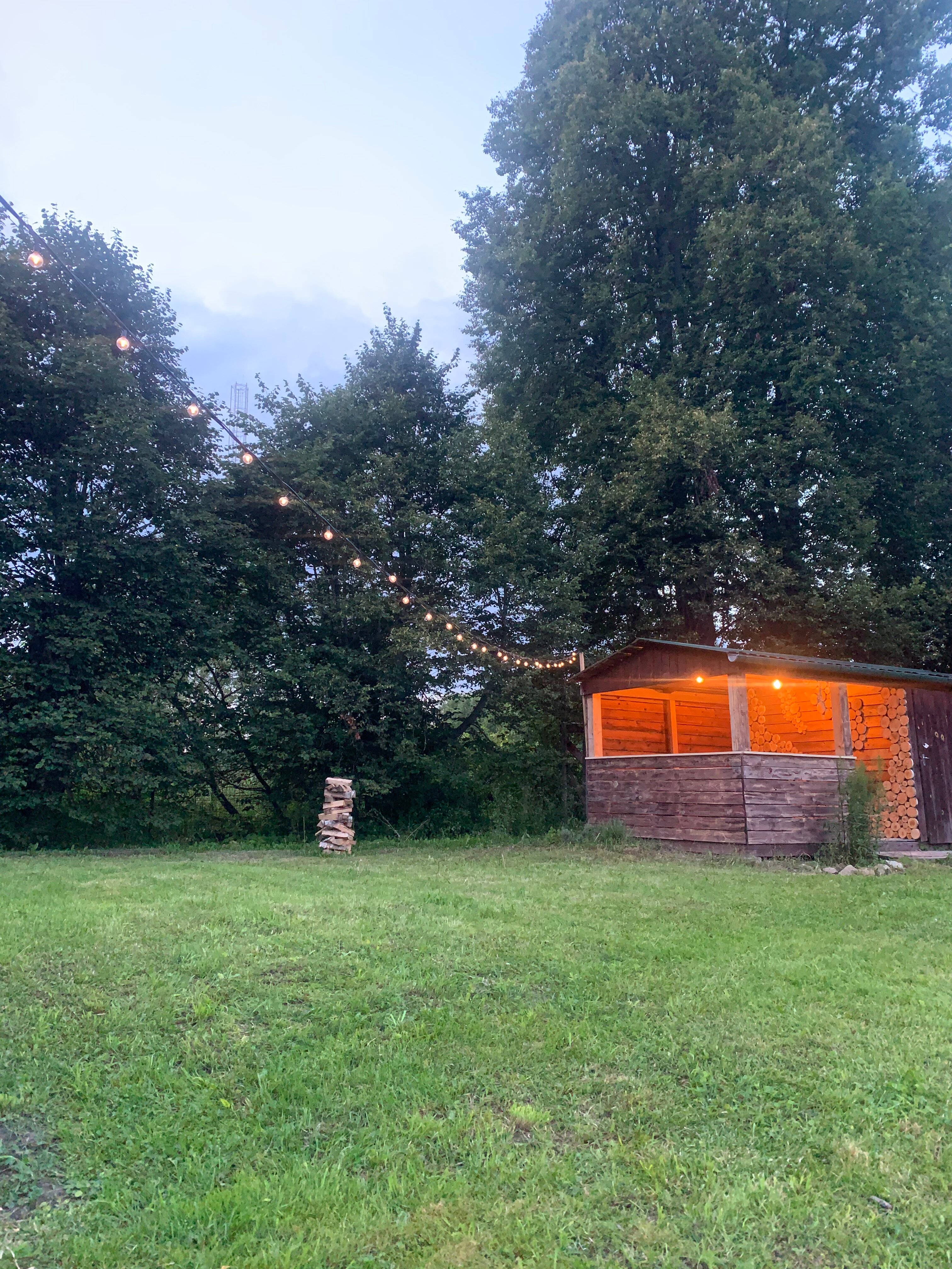 Фото Липовая аллея