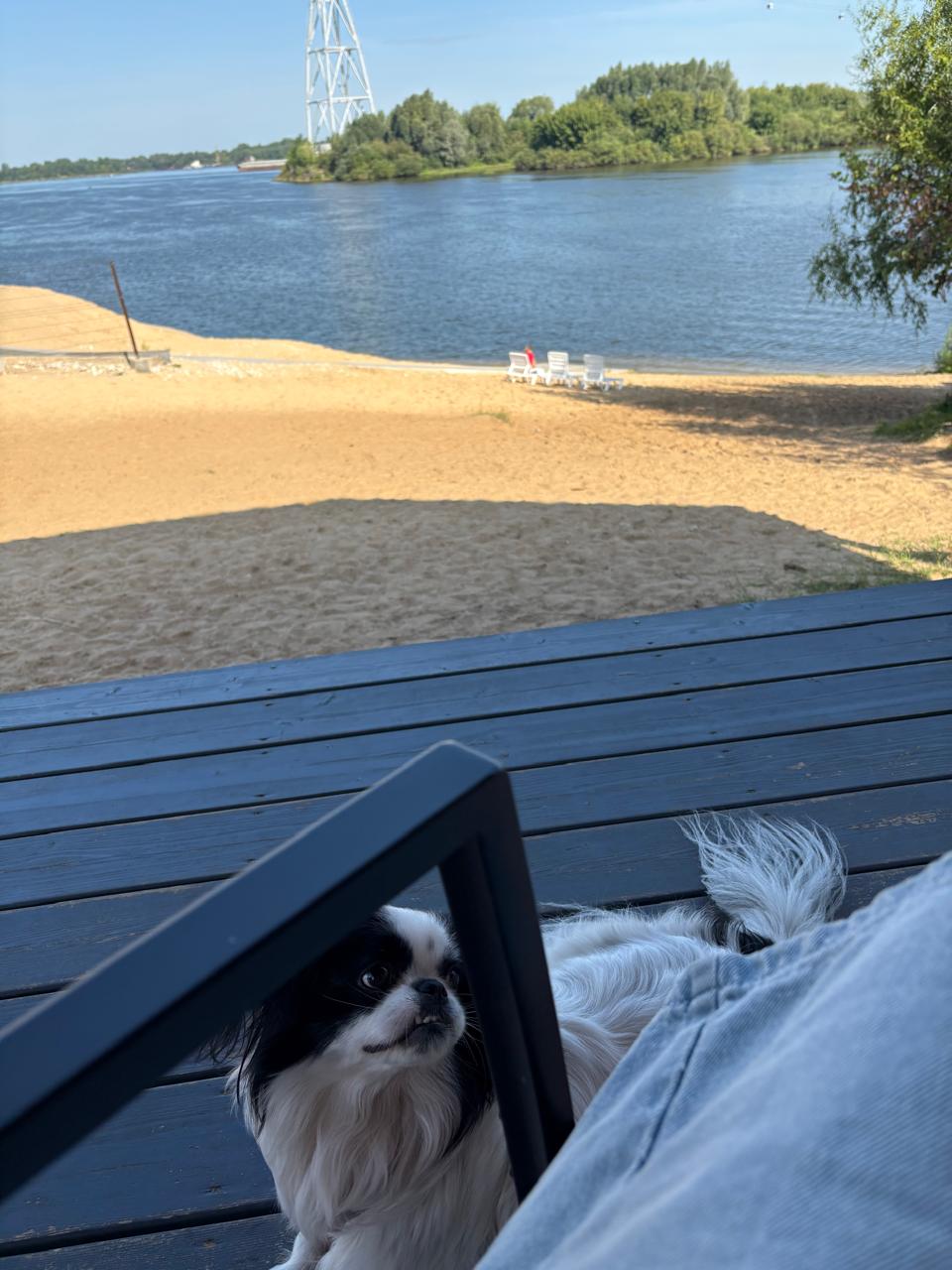 Фото Глэмпинг Близко