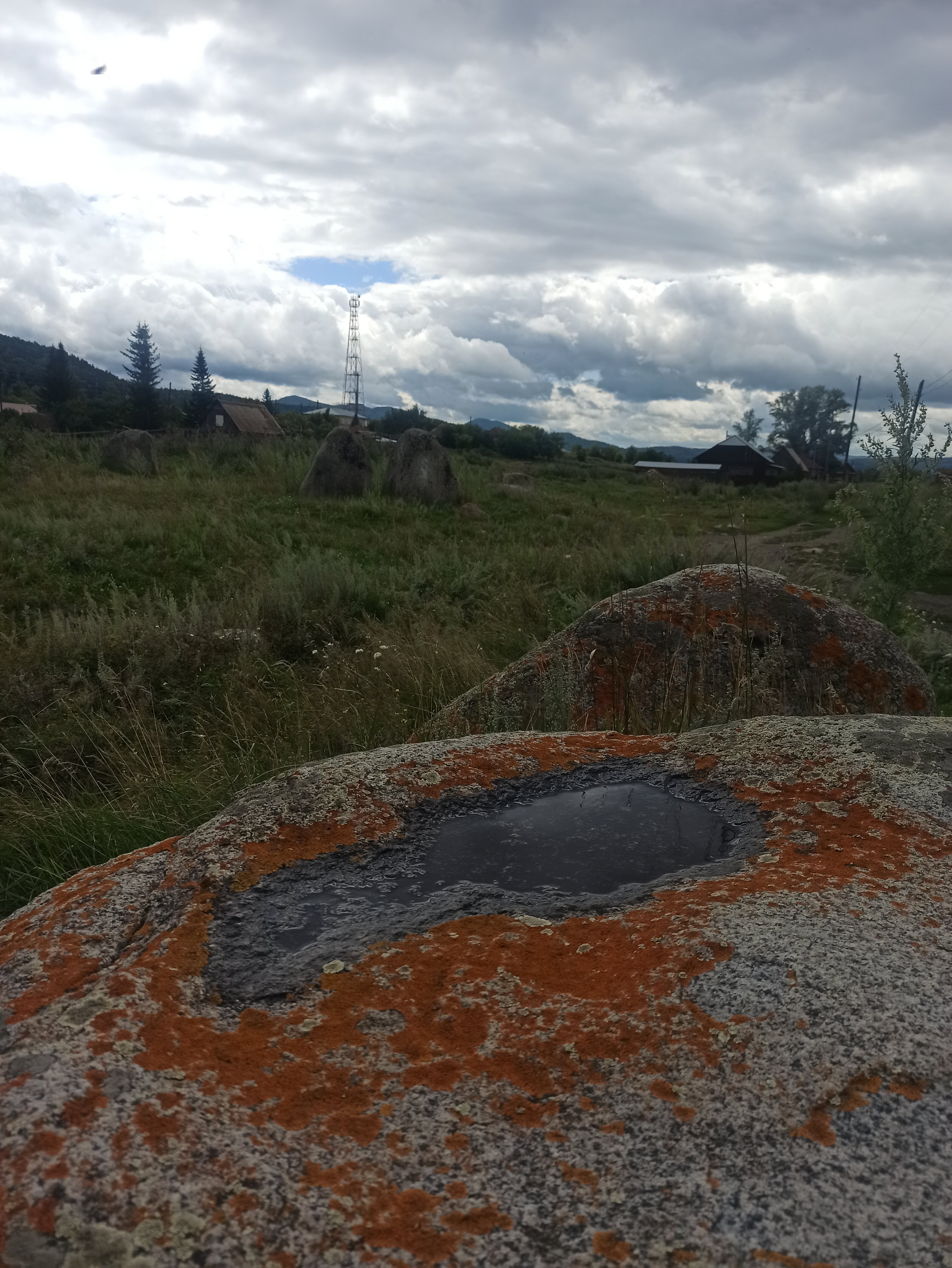 Фото Медная Сова