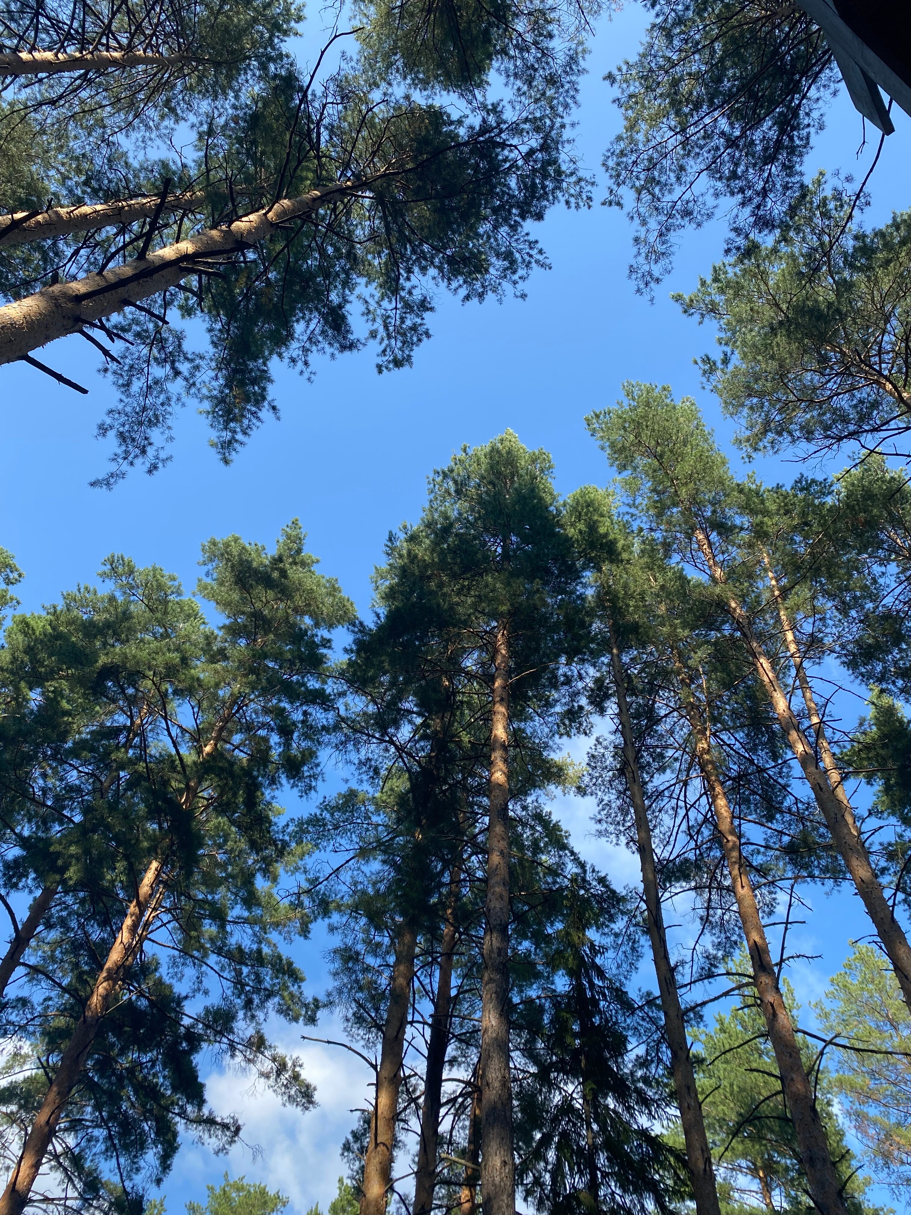 Фото Новая Волна