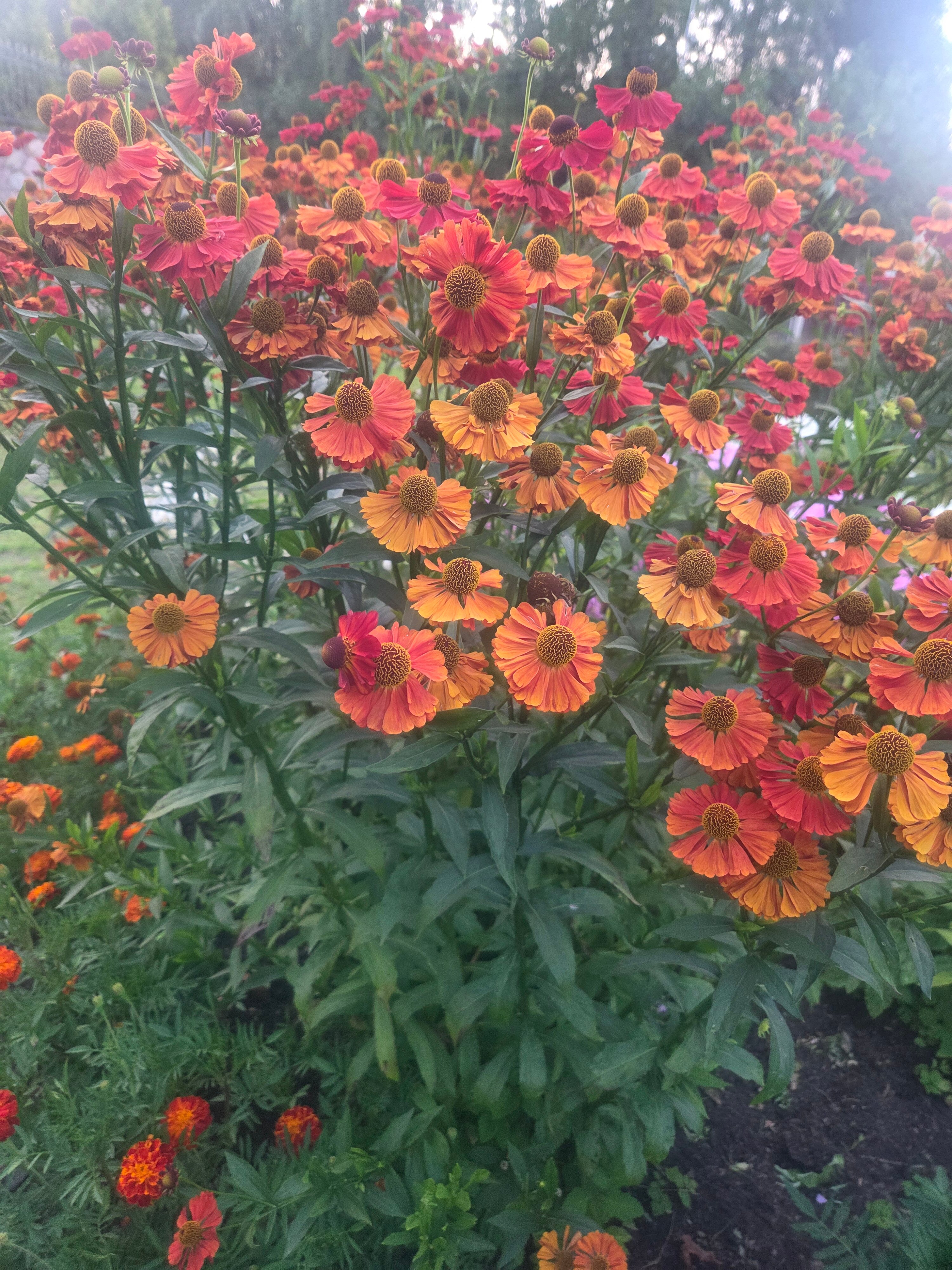 Фото Дом друзей Саввы Ямщикова