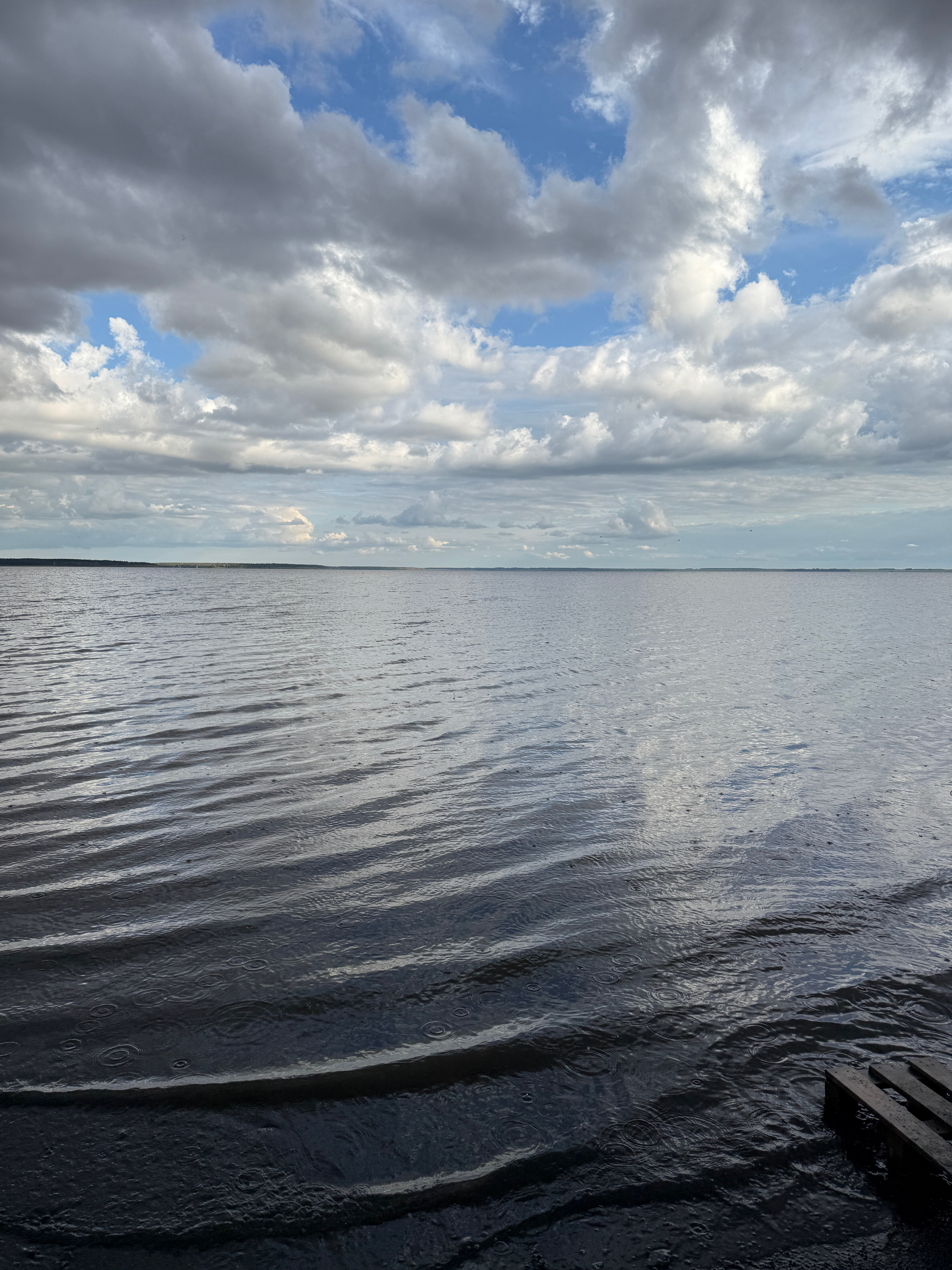 Фото Малина кемп