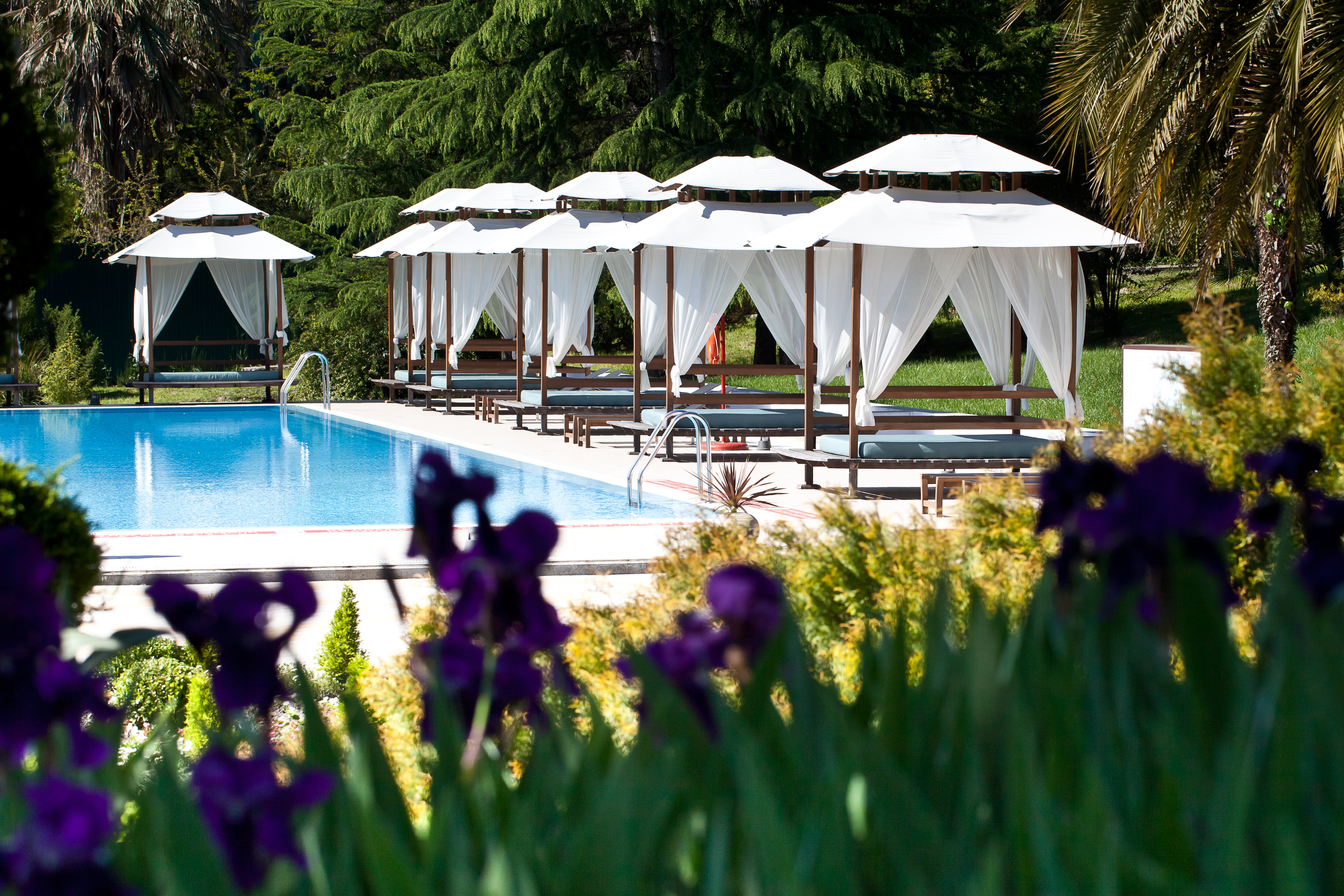 Фото Rodina Grand Hotel & SPA