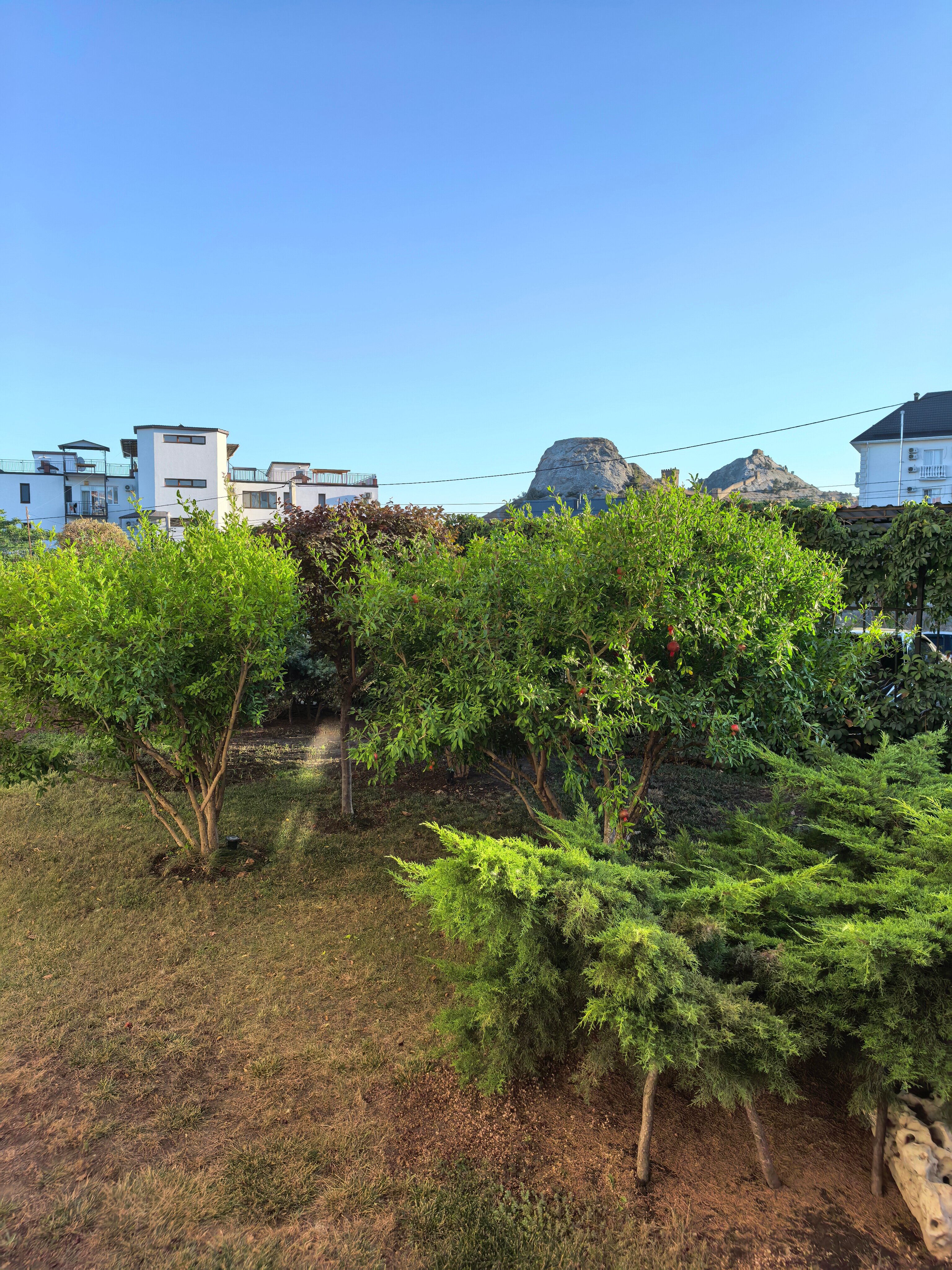 Фото Вилла Александрия