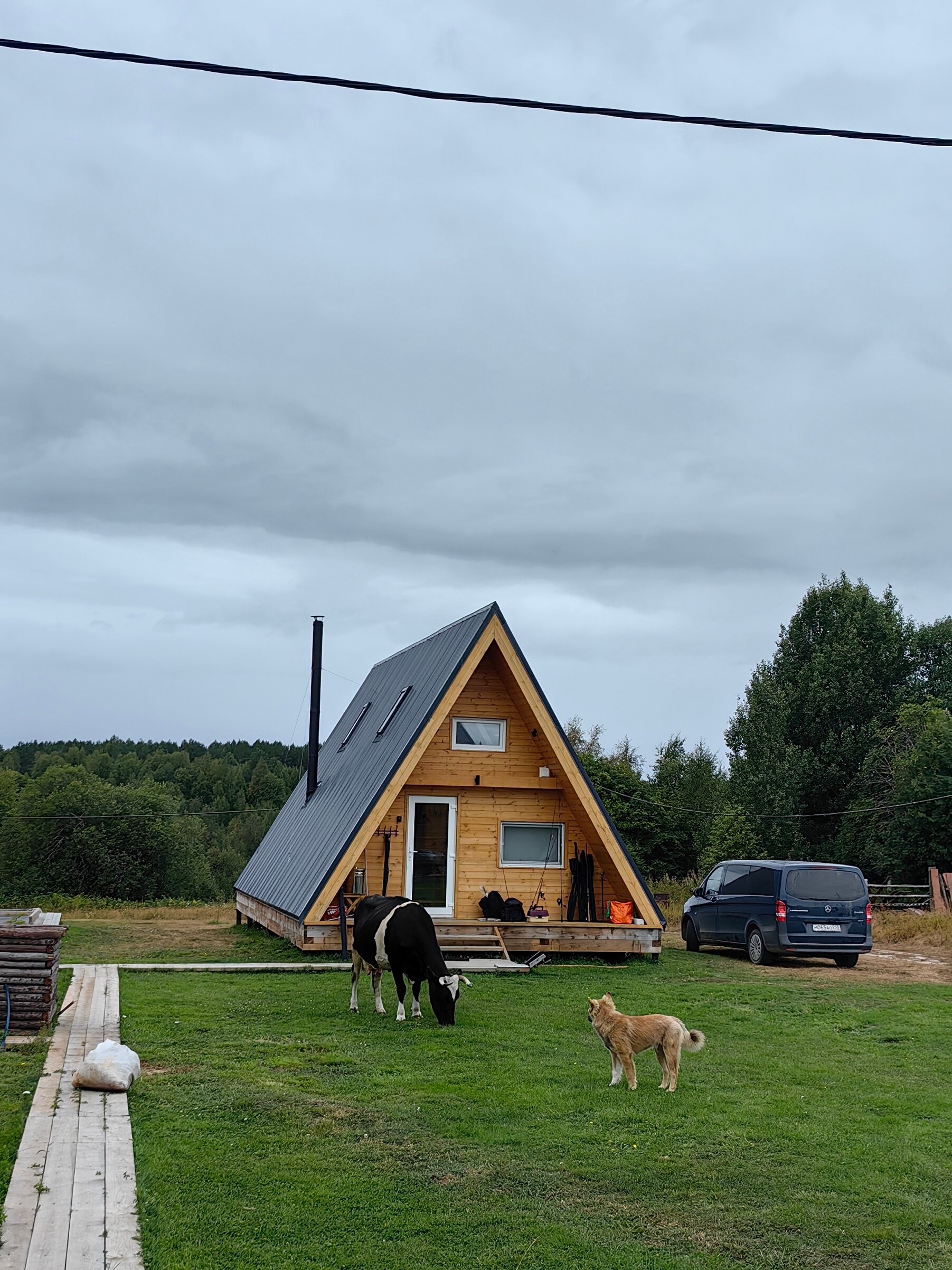 Фото Белый кит