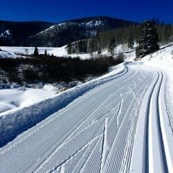 Construction company Tractor Mitya, Odincovo, photo