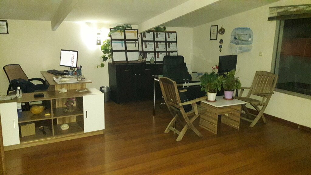 Web design studio Pro Design, Guzelbahce, photo