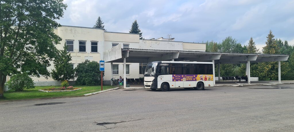 Автовокзал, автостанция Автовокзал Поставы, Поставы, фото