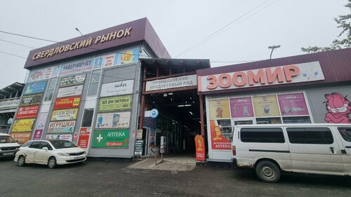 Seks videolari zerikarli emas.