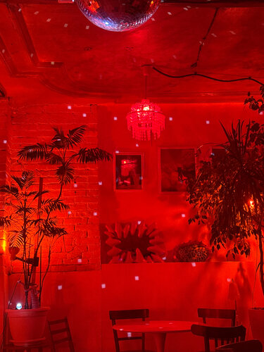 Шелек сияқты мысық (өлеңдер)