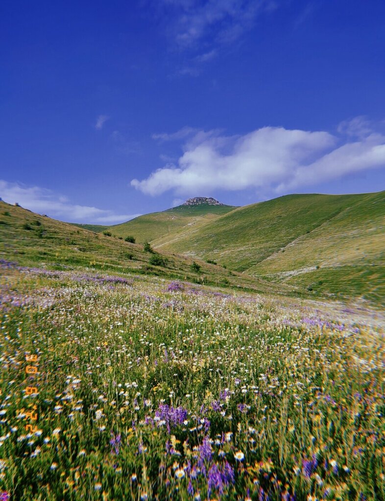 Mountain peak Loq, Kvemo Kartli, photo