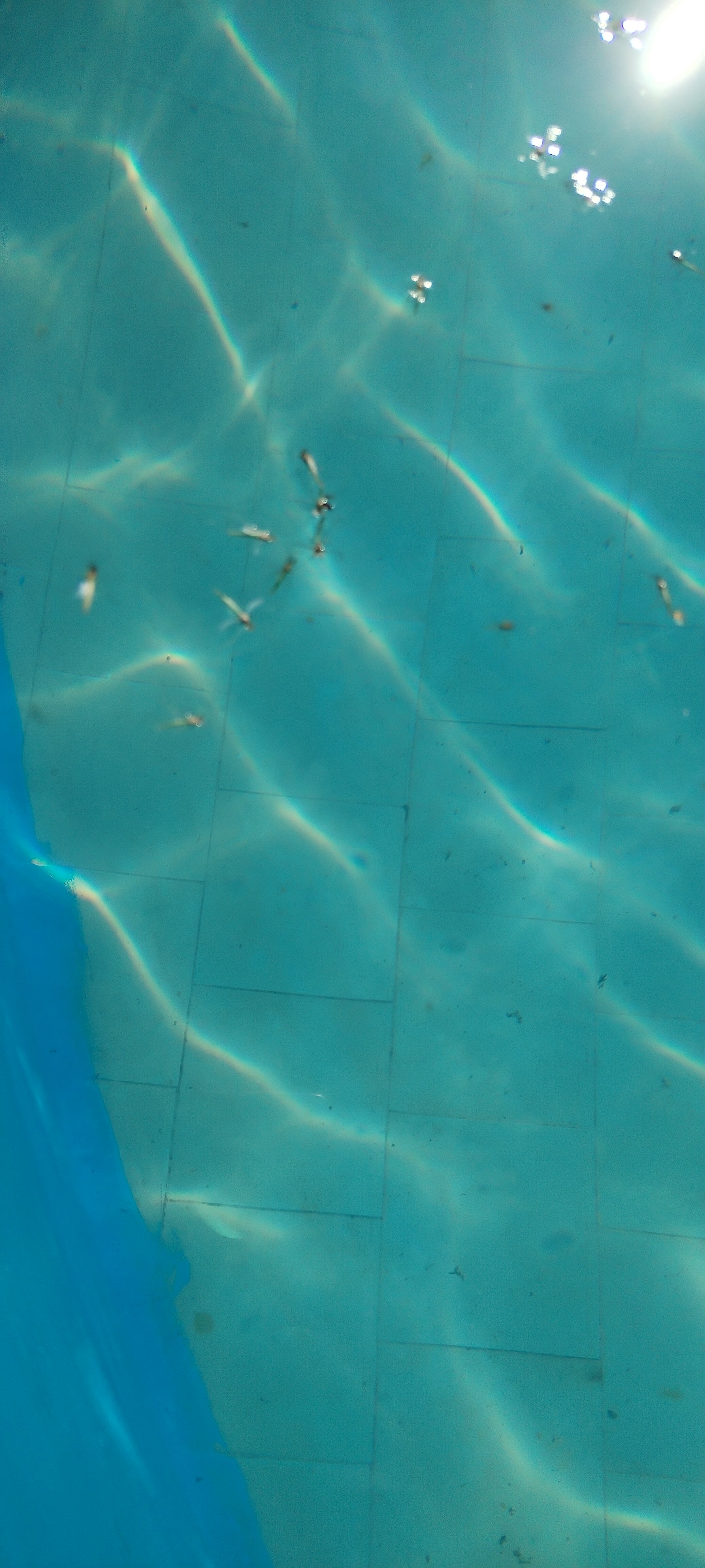 Фото Holiday Park Чумбур-Коса