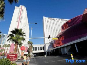 Гостиница Circus Circus Hotel, Casino & Theme Park 