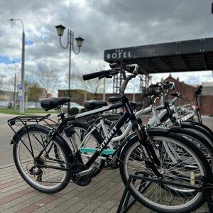 Гостиница Willing