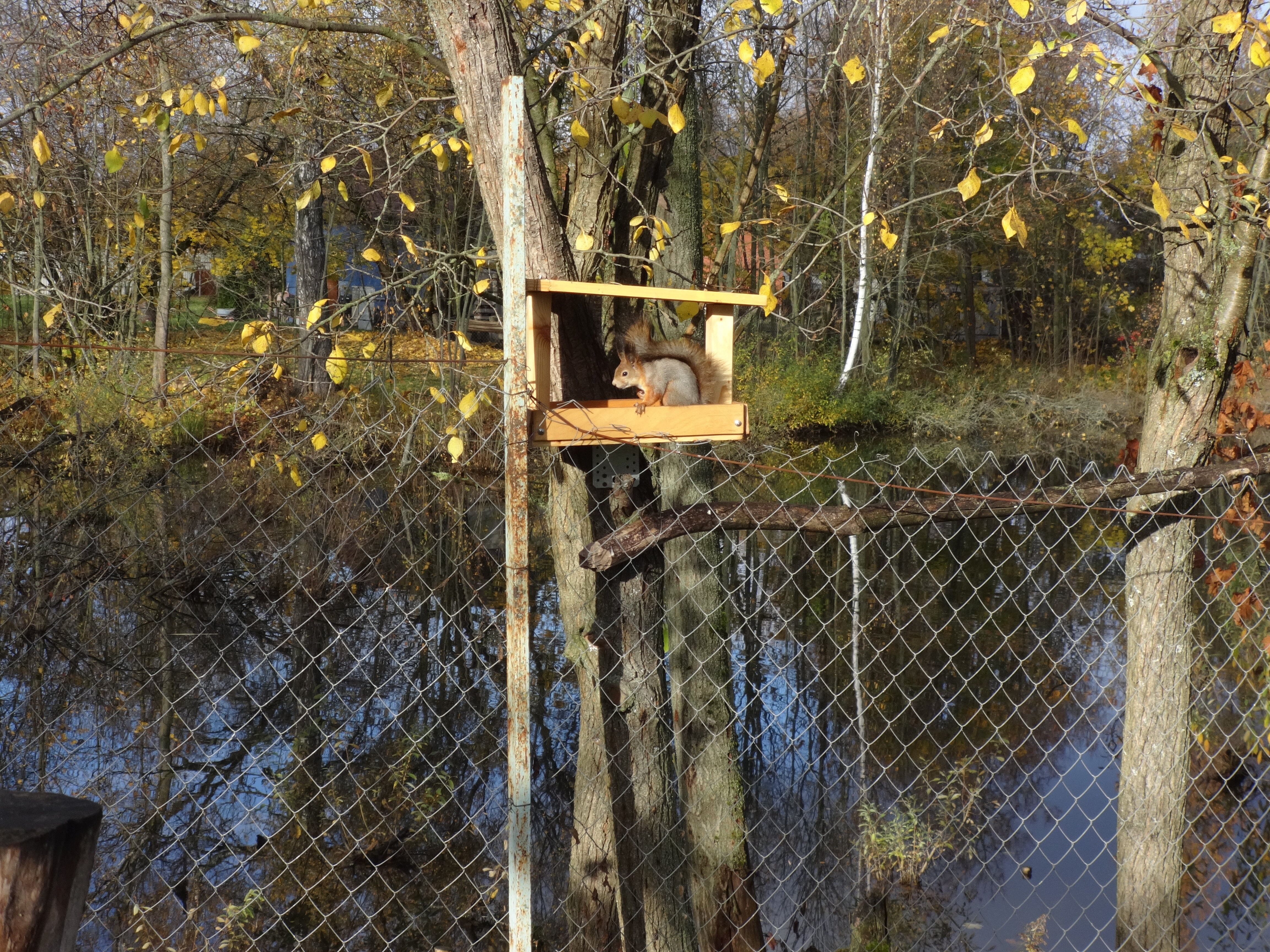 Фото Дом на прудах