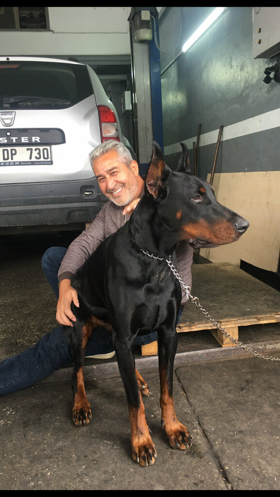 Car service, auto repair Aslan Oto Bakim Onarim Servisi, Istanbul, photo