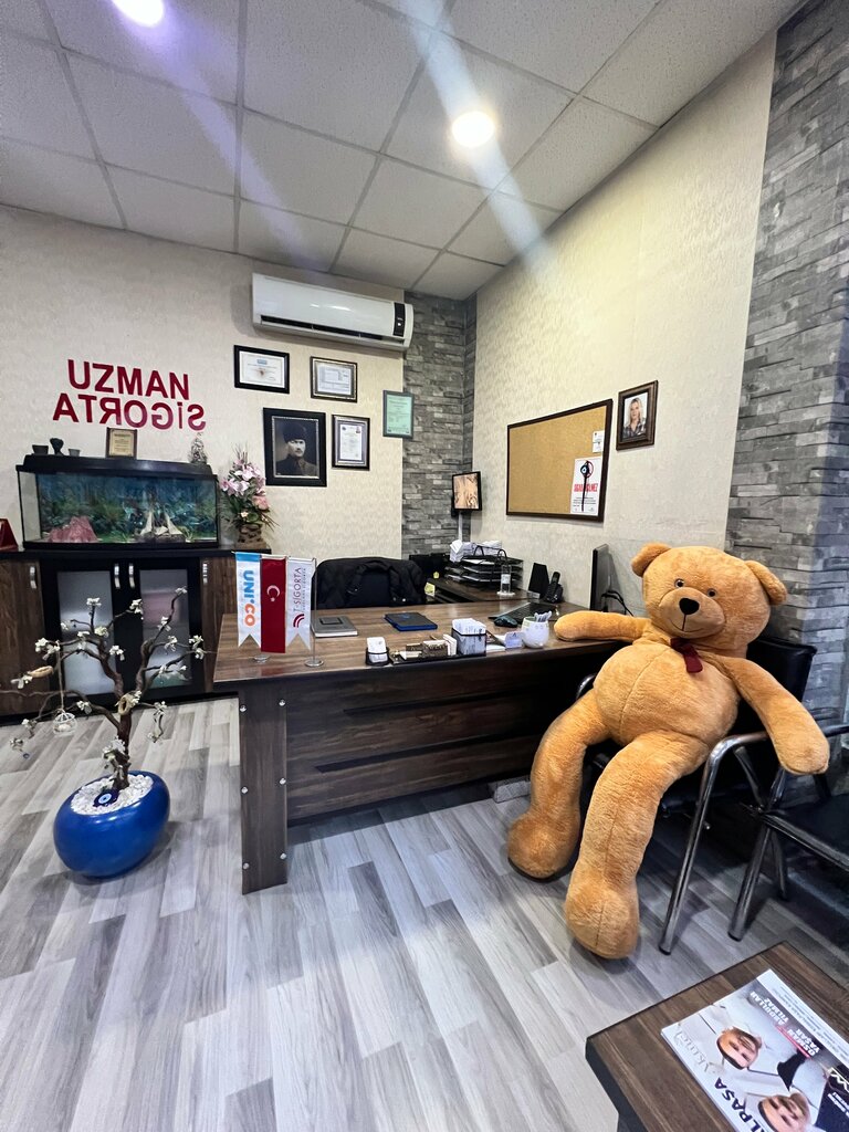 Insurance company Uzman Sigorta, Kemalpasa, photo