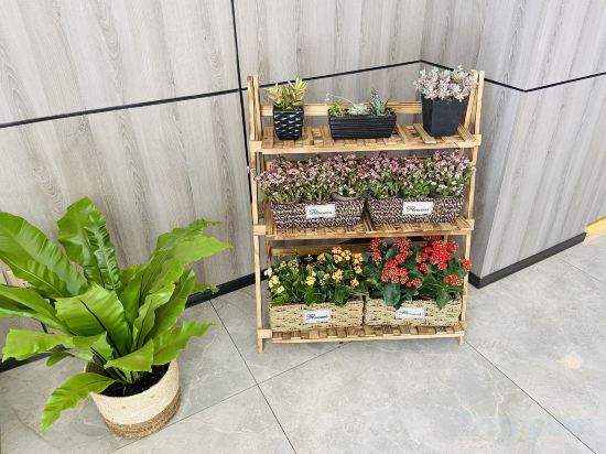 Фото 7Days Inn Hotel