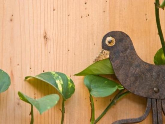 Фото Huber Hotel Tramserhof