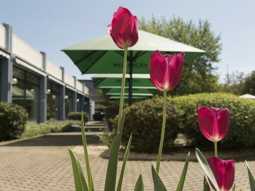 Гостиница Mercure Mannheim Am Friedensplatz в Мангейме
