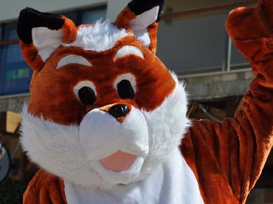 Фото Курортный отель Martinhal Sagres Beach Family Resort