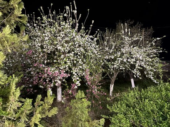 Фото Qibla Tozabog