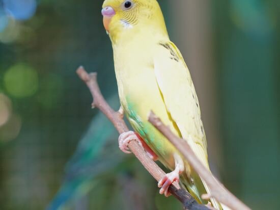 Фото Xiamen Software Park Fliport Hotel