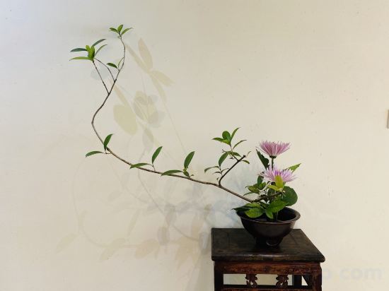 Фото The Hidden House Hotel