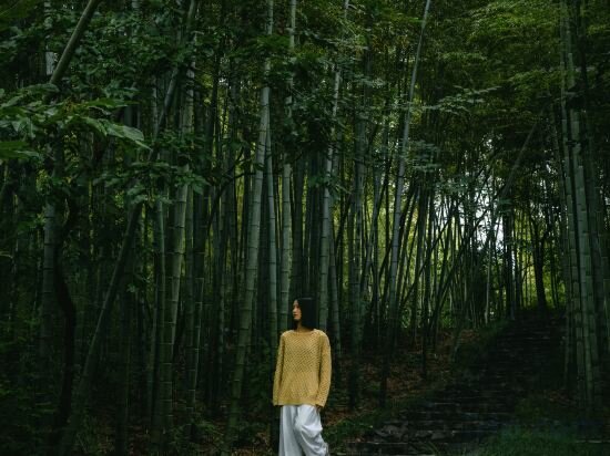 Фото Wyndham Grand Plaza Royale Hot Springs Resort Tianmu Lake