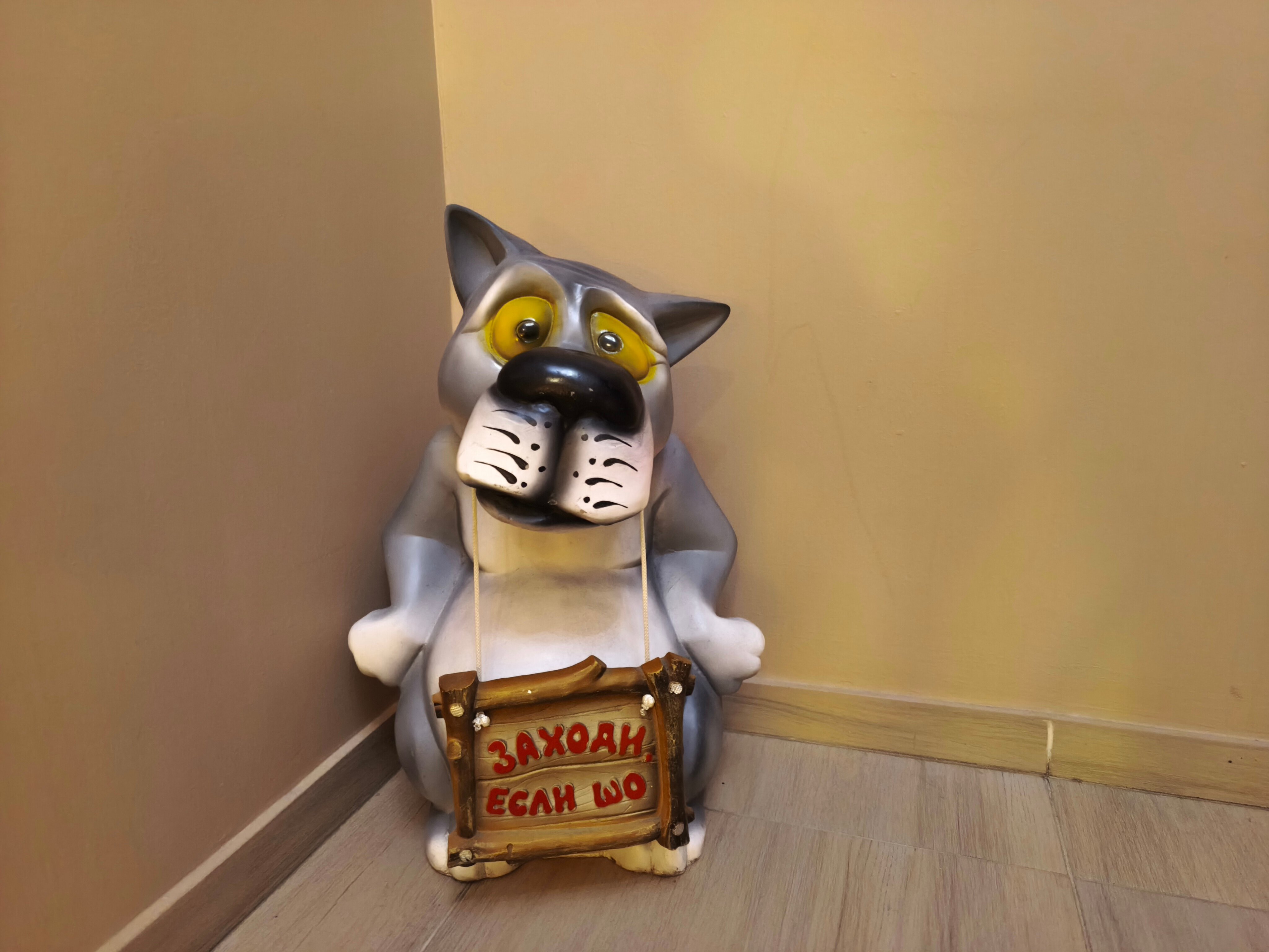 Фото Цветной 5