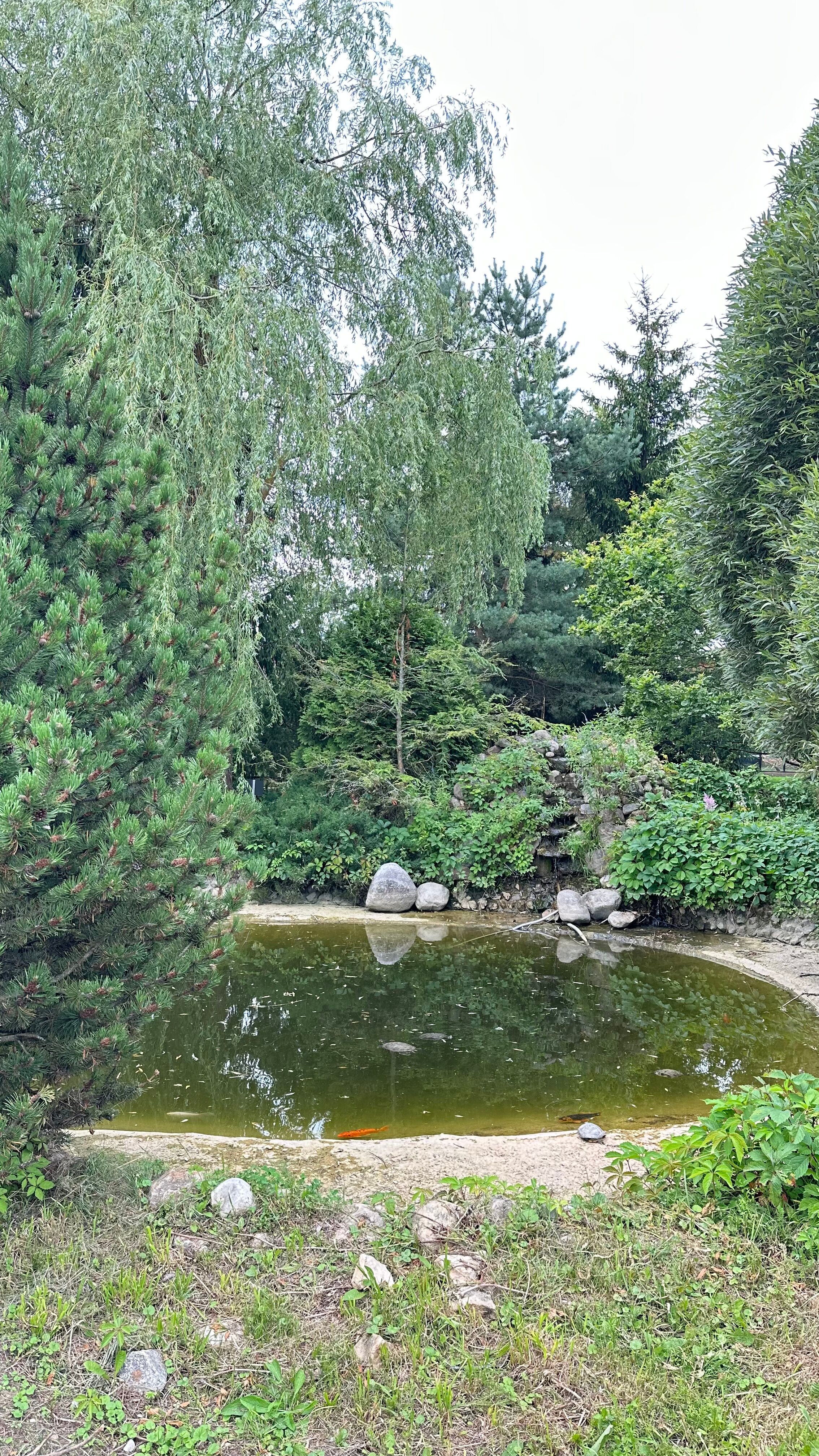 Фото Хуторок