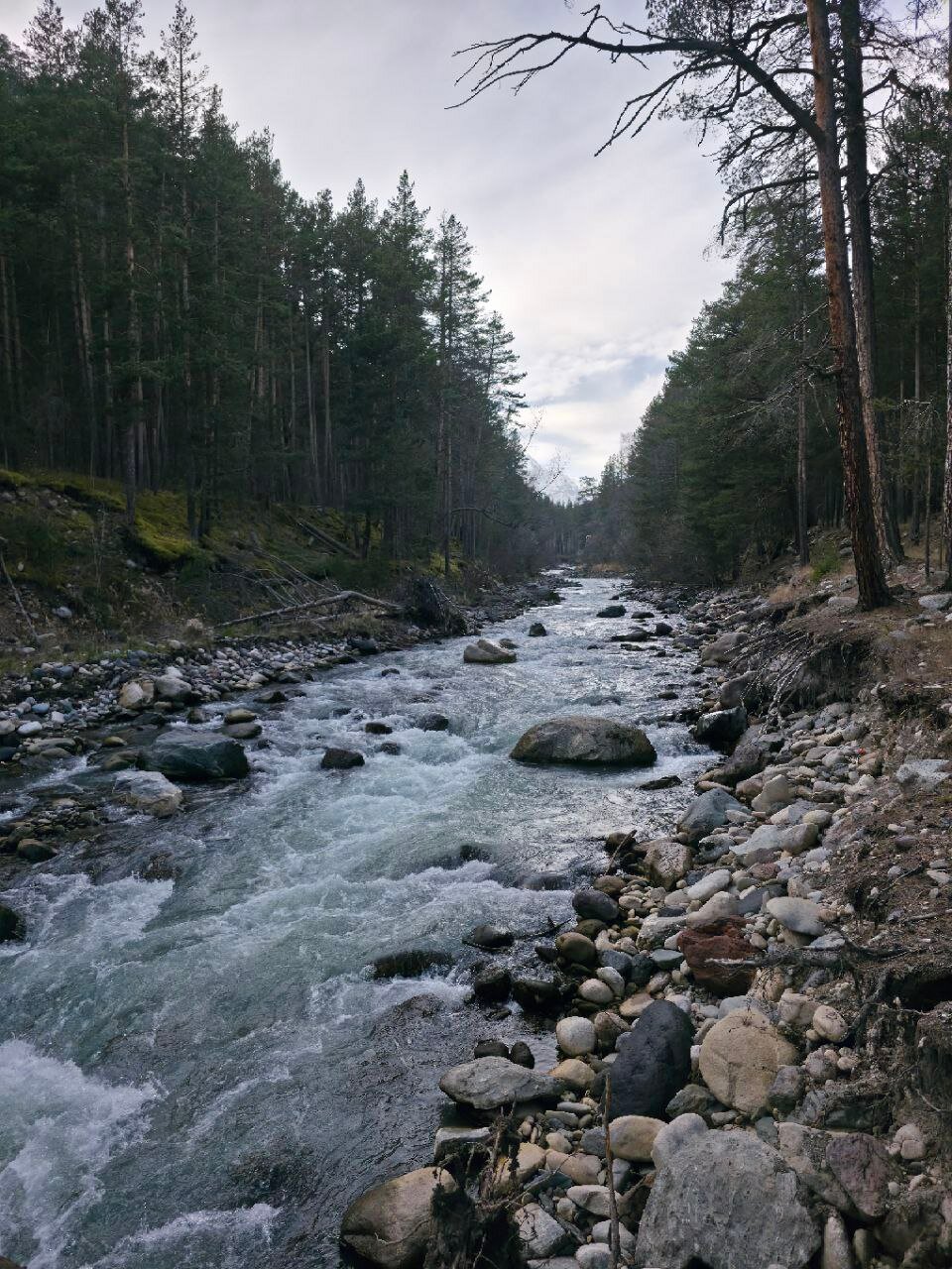 Фото Hillside Cheget