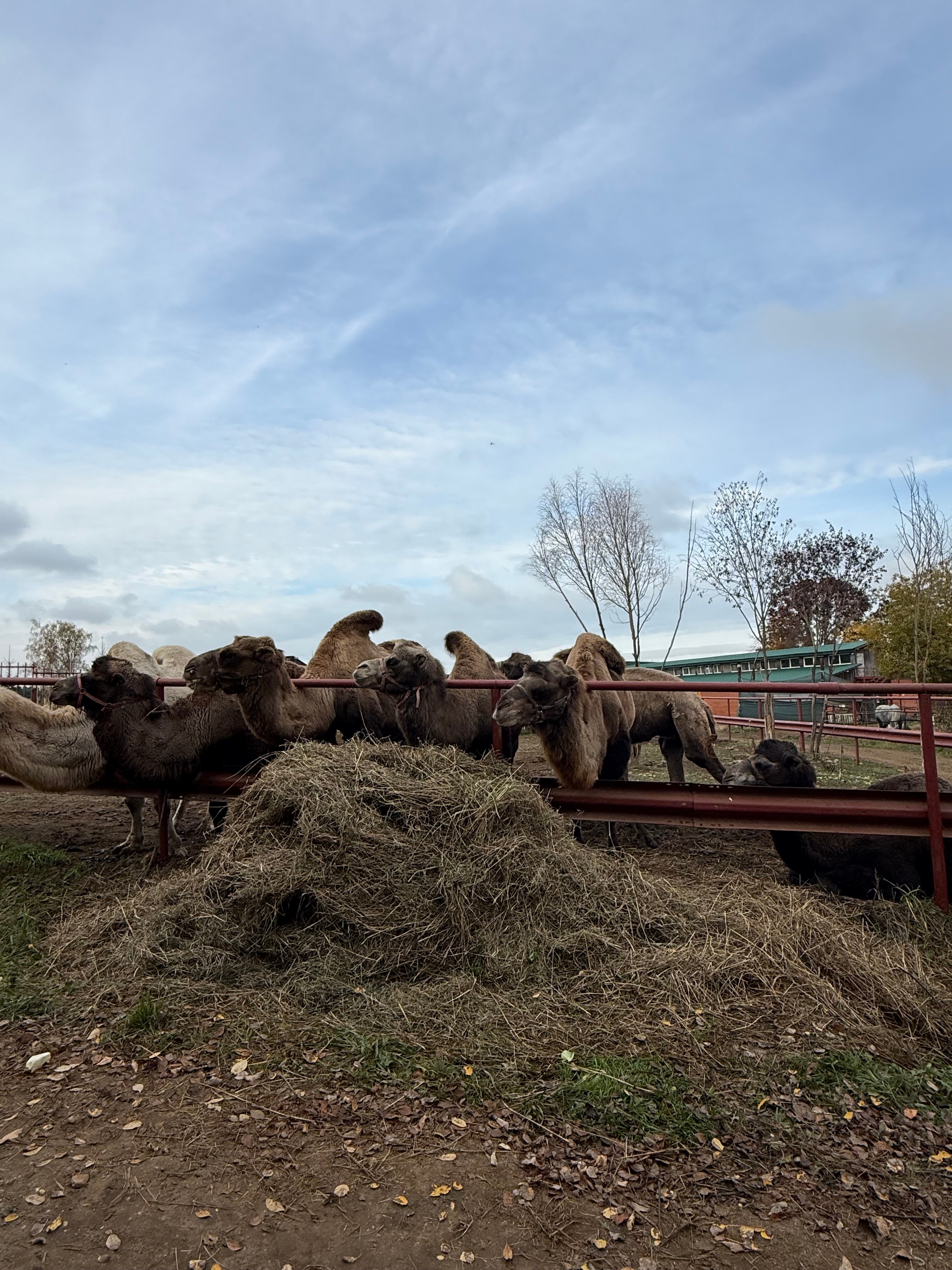 Фото Дом с характером