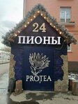 Protea (Bolshaya Filyovskaya Street, 12), flower market