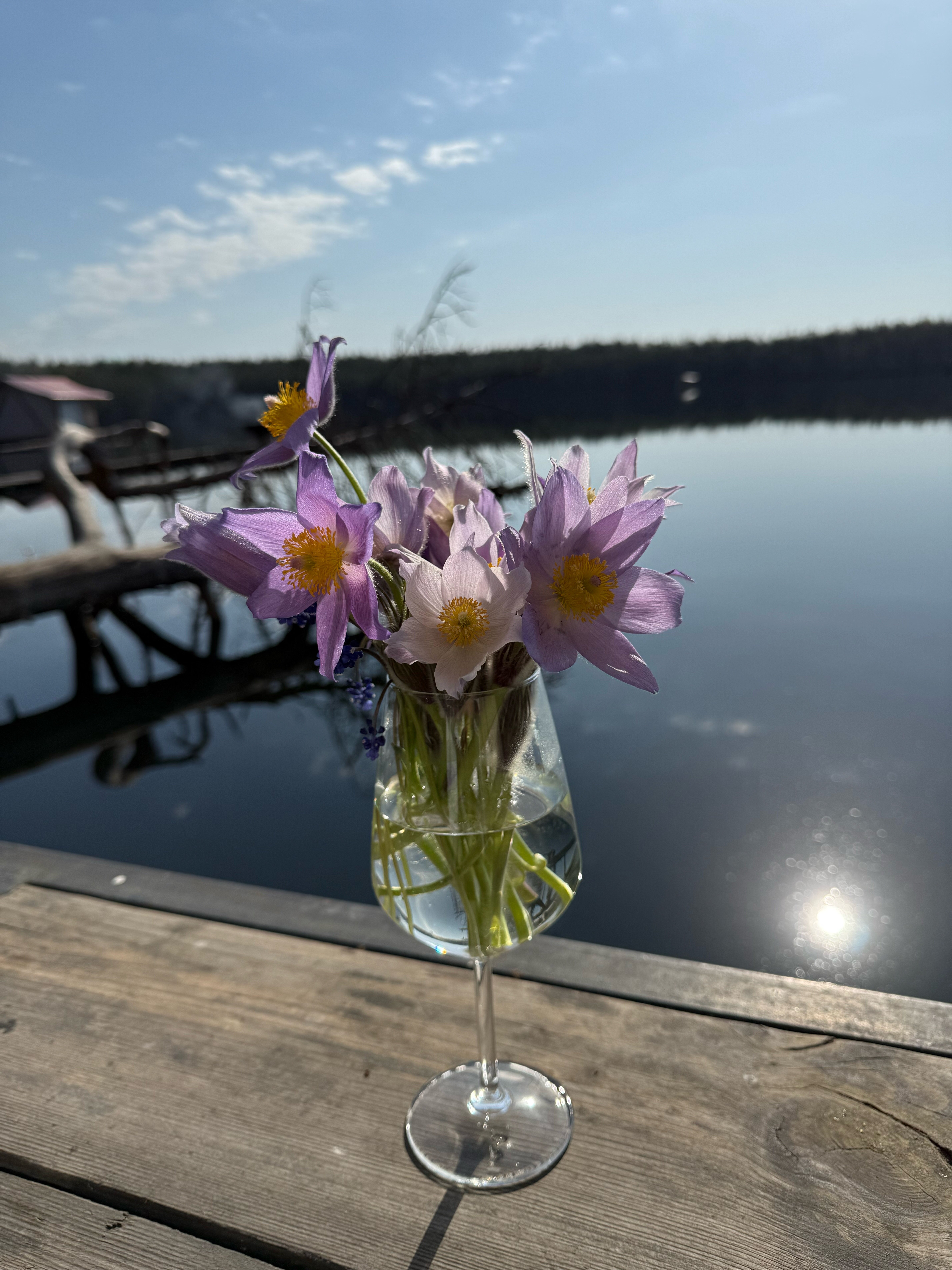 Фото Отель «Оланга»