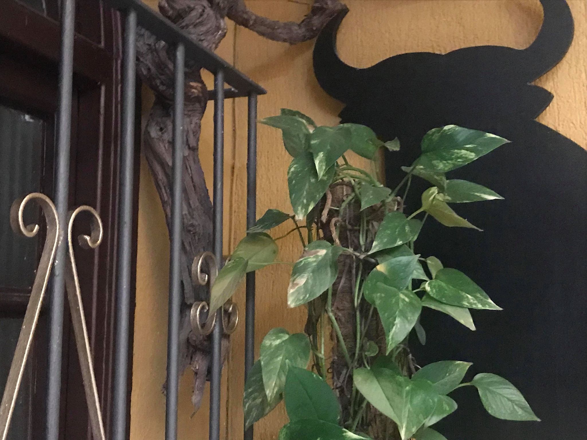 Фото Hotel Nova Centro