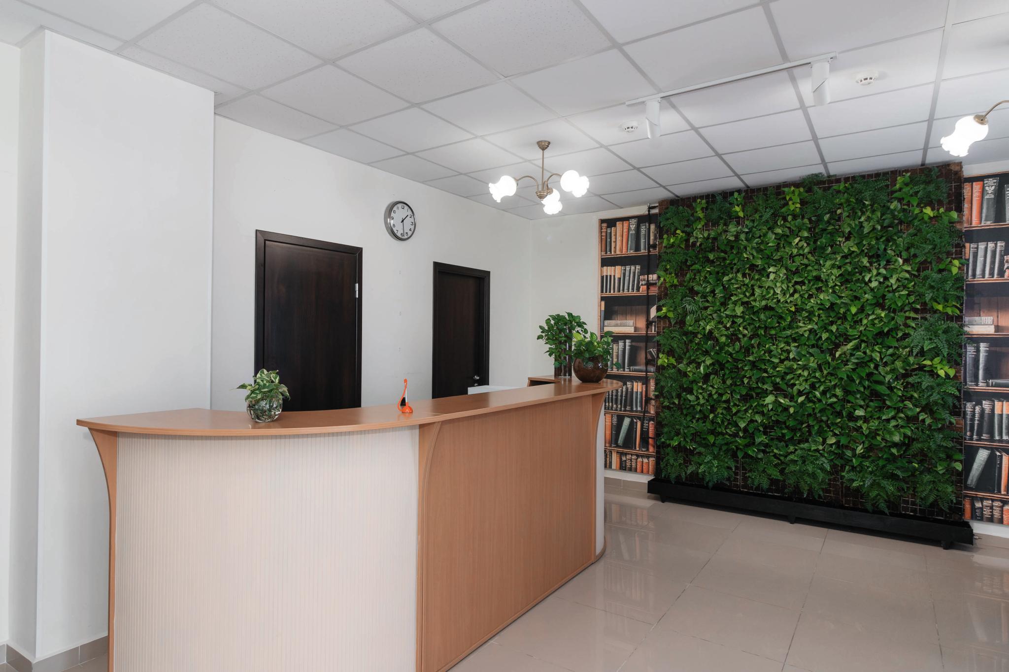 Фото Континенталь Green Dream