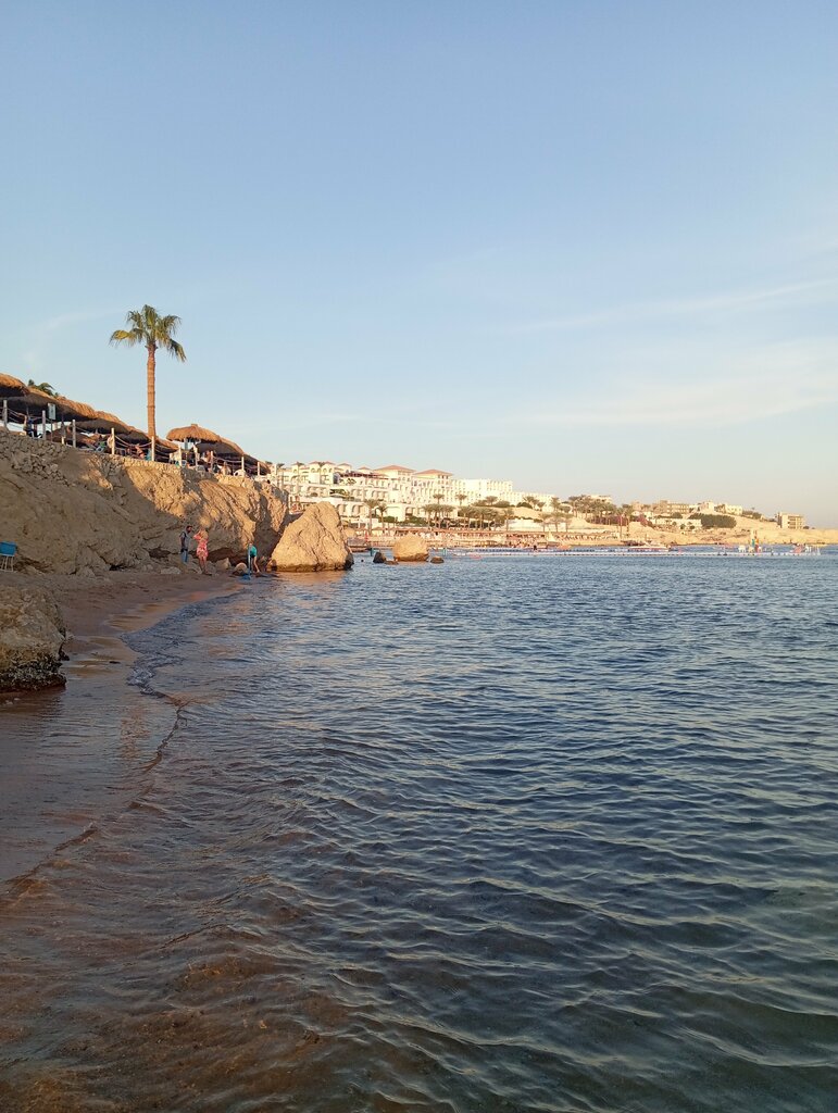 مقهى فاطمة ، شرم الشيخ، صورة