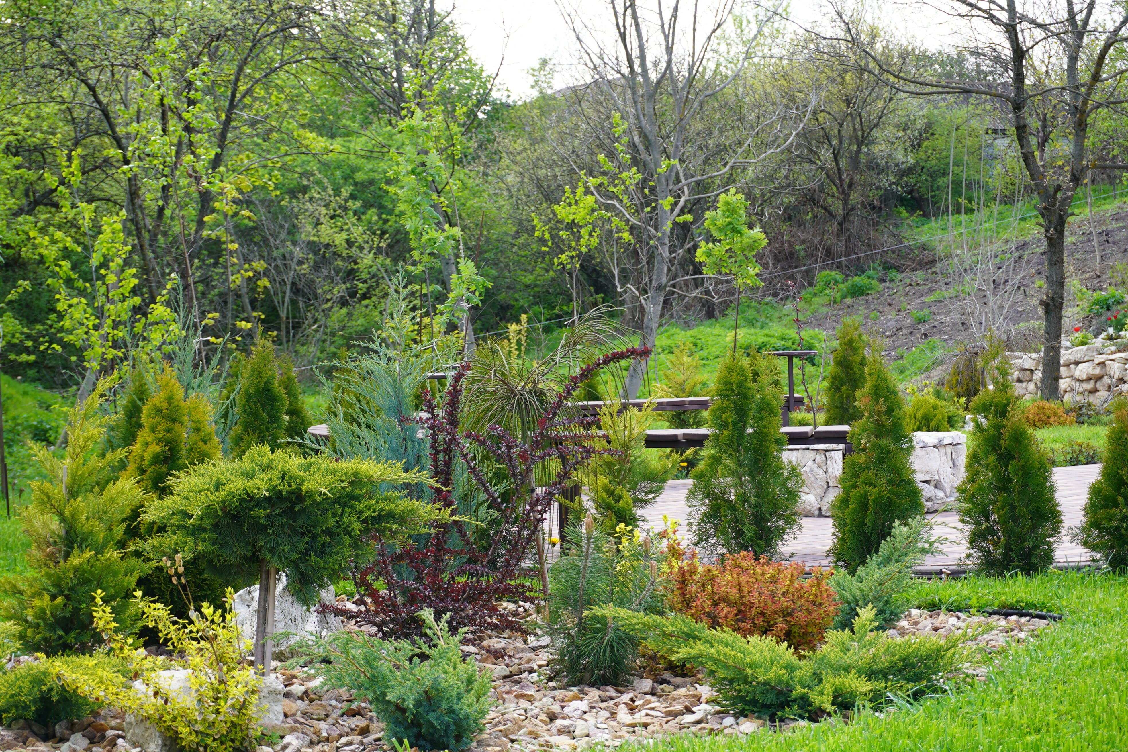 Фото Теремок271