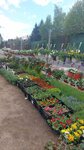 Питомник растений (derevnya Podushkino, Podushkinskoye shosse, 2), vivero de plantas