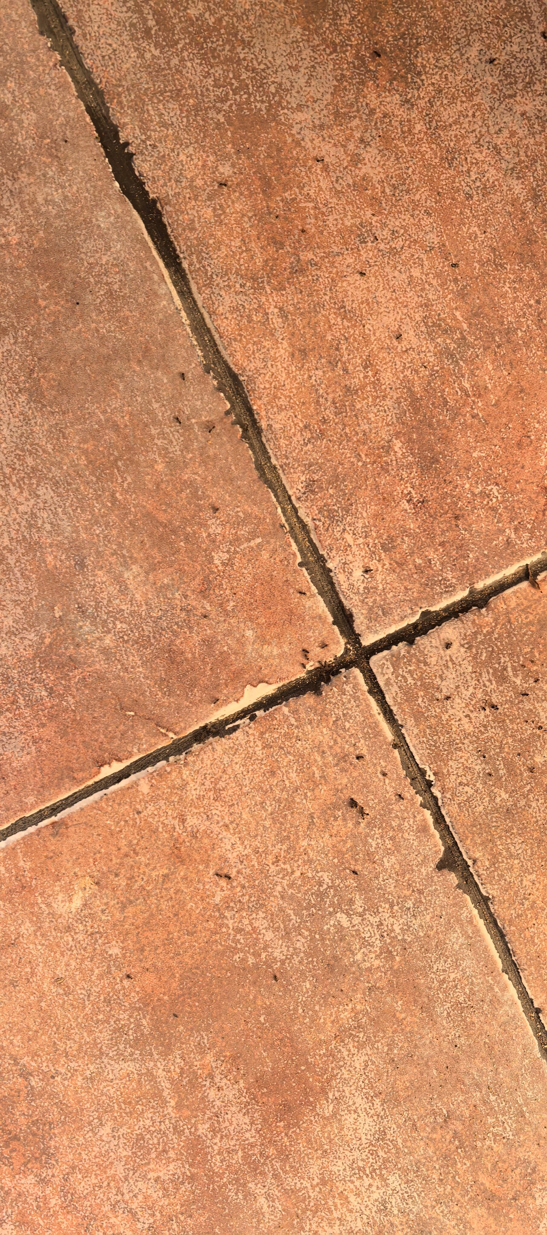 Фото Вилла Оазис