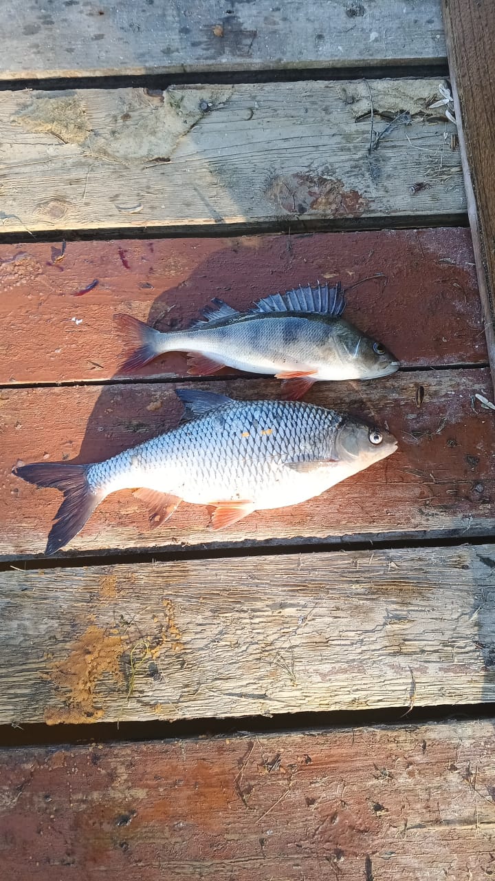 Фото Ладога